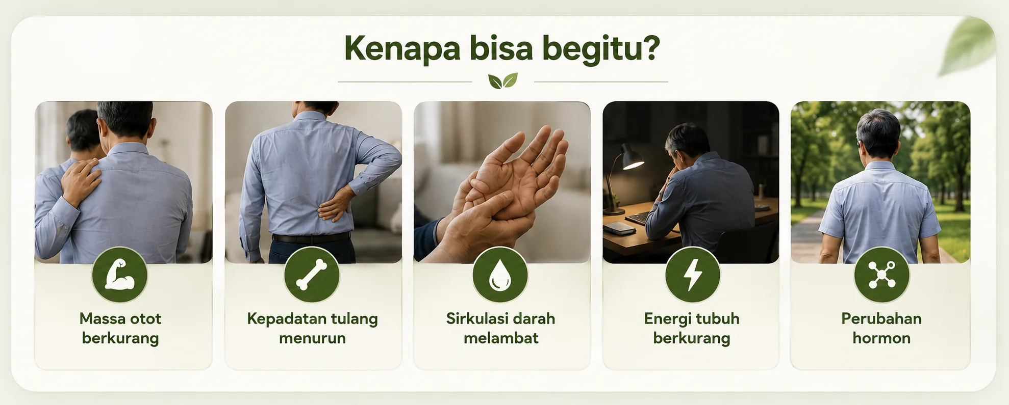 Kenapa bisa begitu? Massa otot berkurang, kepadatan tulang menurun, sirkulasi darah melambat, energi tubuh berkurang, perubahan hormon
